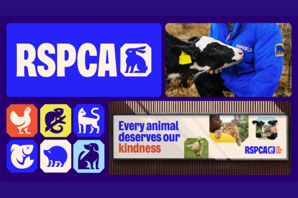 A composite of several images: RSCPA text logo featuring a silhouetted rabbit, similar silhouettes of a cockerel, lizard, cat, fish, hedgehog and dog; a photo of a cow and sniffing the uniform of an RSPCA employee and a banner featuring the words eve