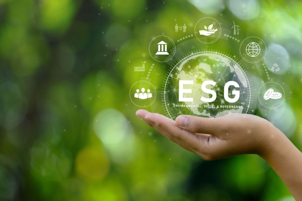Image for article 'Moving beyond superficial ESG and accelerating to a sustainable future'