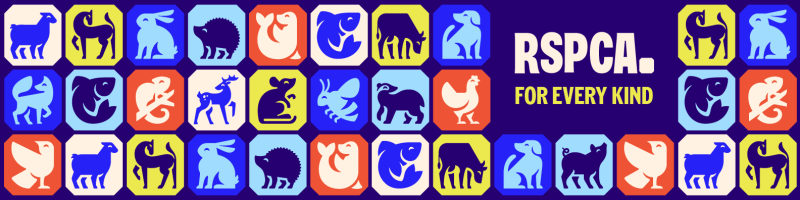 A rectangular navy banner with featuring the RSPCA's new logo type and the strap line text for every kind. Surrounding this are 33 multicoloured tiles featuring drawings of various animals
