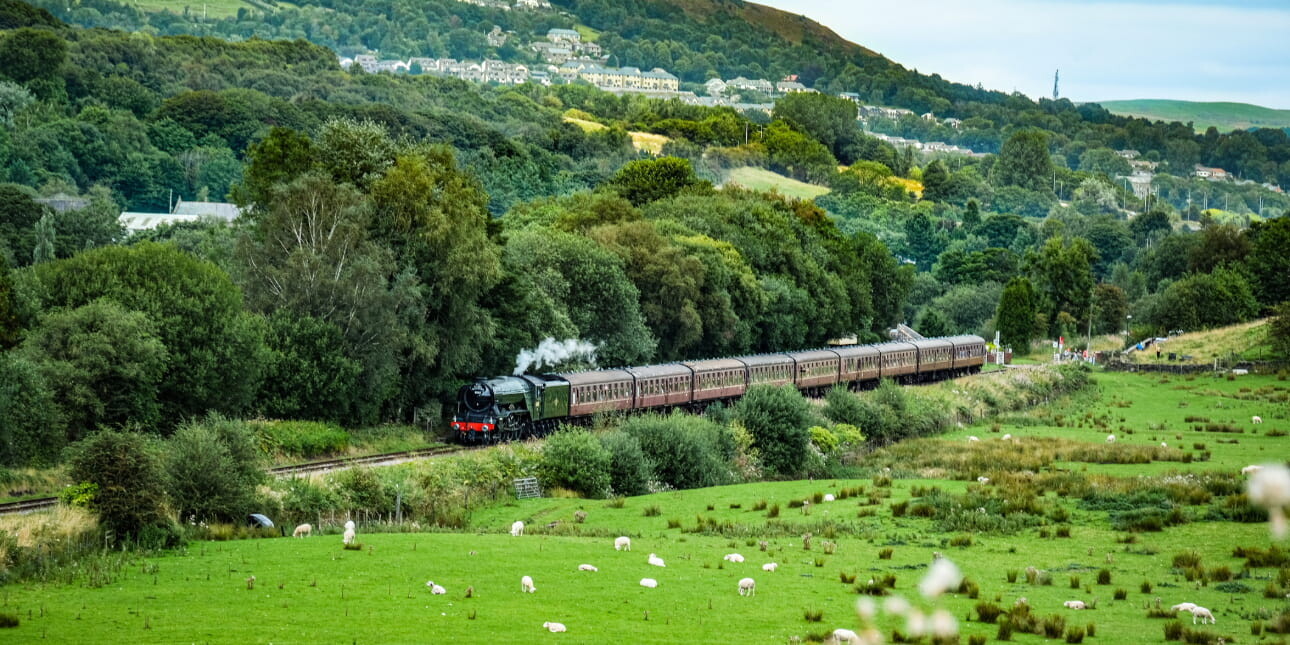 A steam train travels across green countryside with a town in the background and sheep in the foreground