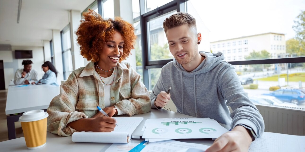 Two college students working together at a desk beside a window. On the left is a Black woman with bronze afro hair and check shirt. On the right is a white man with short brown hair, wearing a grey hoodie.