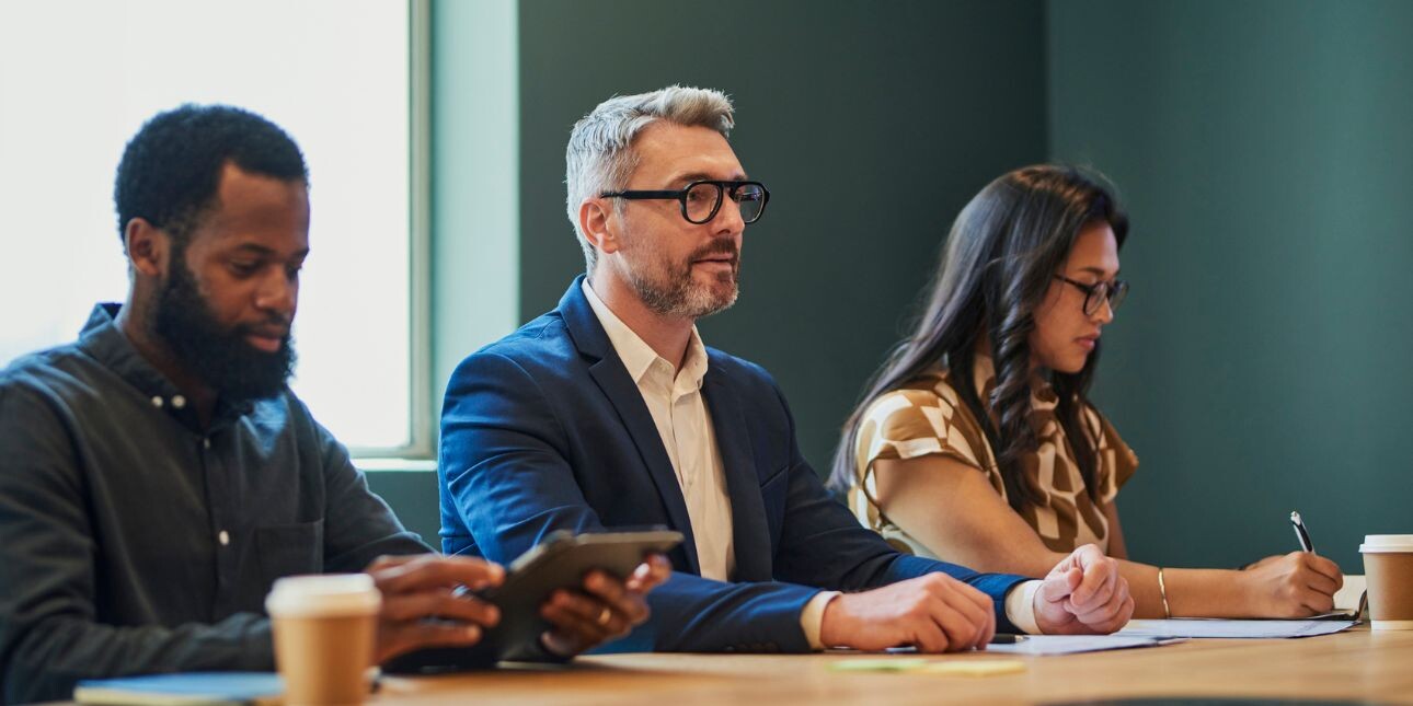 business professionals in meeting