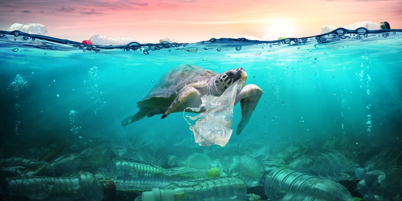 Computer generated image of a turtle with a plastic bag in its mouth, swimming in a turquoise shallow sea littered with plastic bottles on the seabed and surface. The sky is pink with yellow and purple hues.