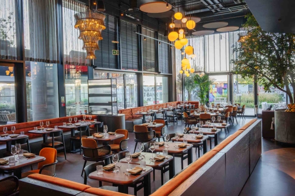 The interior of Hera restaurant with floor to ceiling windows, and a mix of tables, chairs and longitude oranged cushioned seating. There is an olive tree in the top right hand corner and lights hanging from the ceiling.