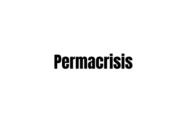 Image for article '2022: The year of the ‘Permacrisis''