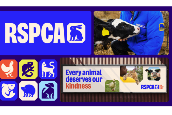 A composite of several images: RSCPA text logo featuring a silhouetted rabbit, similar silhouettes of a cockerel, lizard, cat, fish, hedgehog and dog; a photo of a cow and sniffing the uniform of an RSPCA employee and a banner featuring the words eve