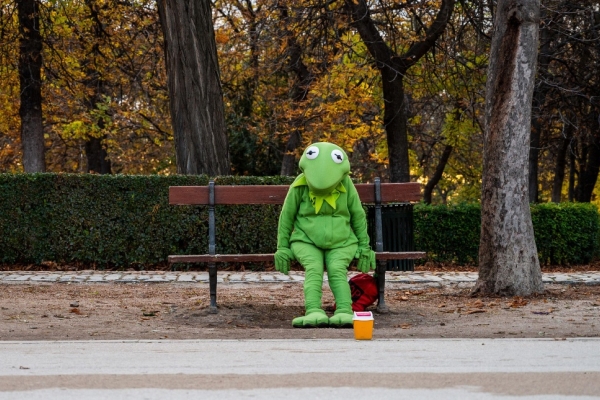 A person dressed in a green Kermit the Frog costume, sat on a park bench in front of a hedge and trees.