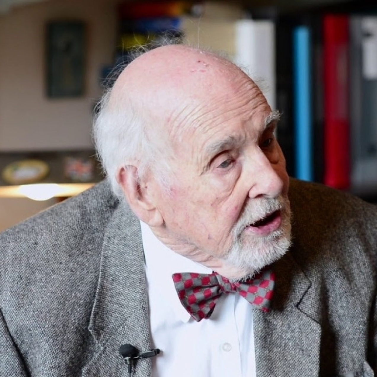 A colour portrait of Tim Travis-Healy looking off camera to his left. He is a white man with grey jacket and maroon bowtie.
