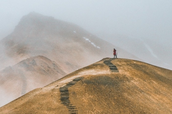 Image for article 'Solopreneurs: Is it worth it to be chartered?'