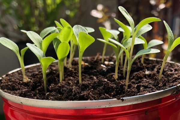 Image for article 'PR and Comms Leaders emerge from crisis to focus on recovery'