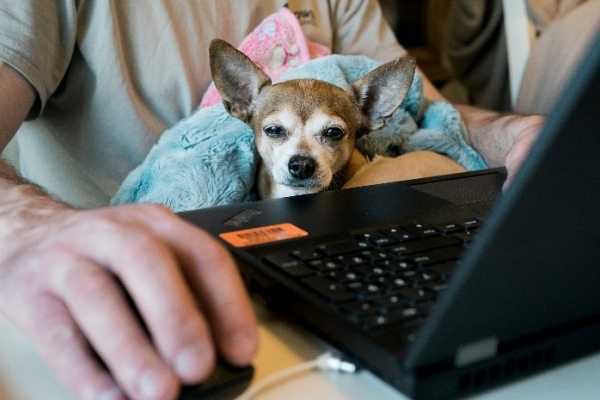 Image for article 'A Move to Remote Working – Pitfalls for PR Agencies'