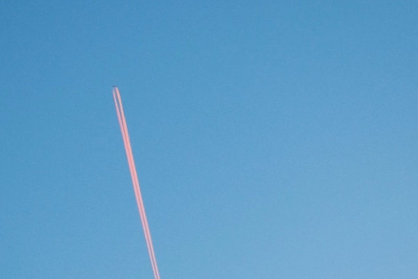 Image for article 'Launching an agency in the middle of a global crisis'