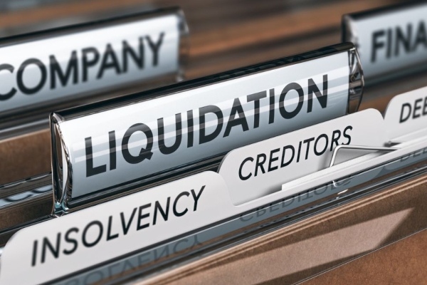 company liquidation files