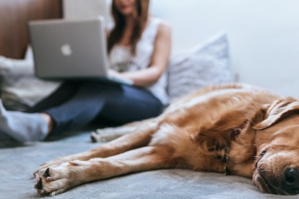 Image for article 'How to communicate with furloughed employees'