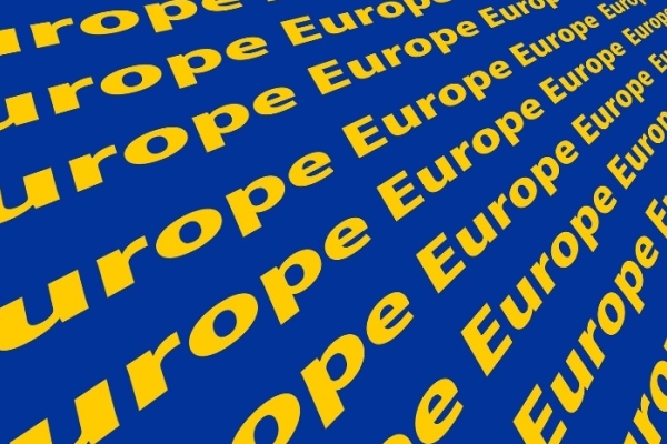 Image for article 'EU Elections: Reflecting the new reality'