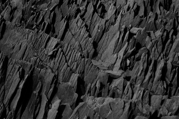 Image for article 'The Grey Area Of Political Advertising - Do Political Influencers Have A Role To Play?'