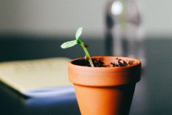 Image for article 'Firms to bolster internal comms efforts even as Covid-19 budget cuts bite'