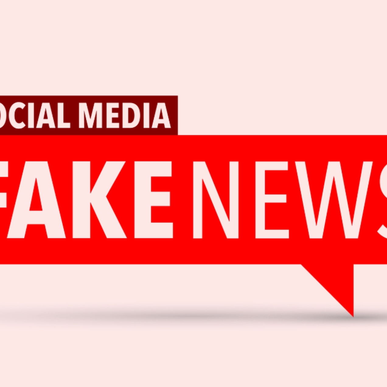 The word social media is placed upon a red, rectangular speech bubble containing the words fake news. The background is pink