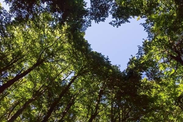 Image for article 'Review Your Green Credentials: CMA investigates 'misleading eco-friendly' claims'