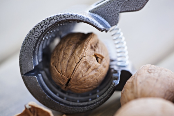Image for article 'Cracking the nut of effective line manager communication'