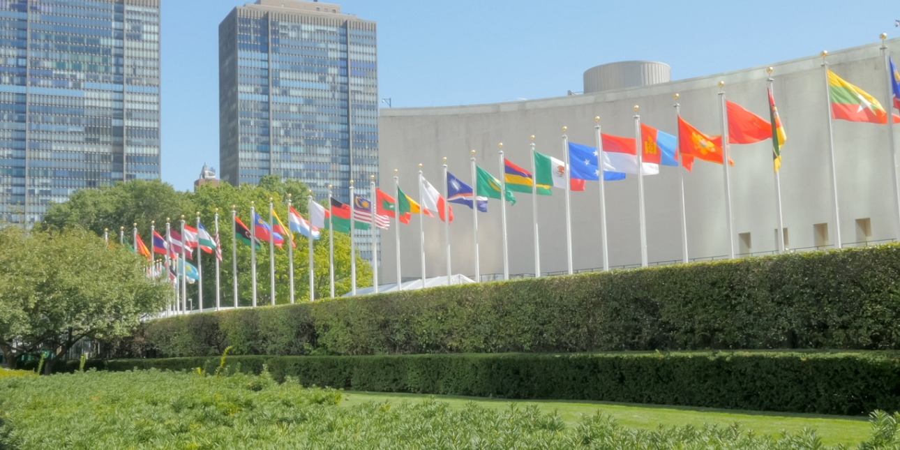Dozens of flags flying at full mast outside the United Nations headquarters in New York on a sunny day