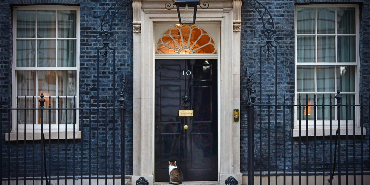 The famous doorway of 10 Downing Street with a cat sat on the step outside