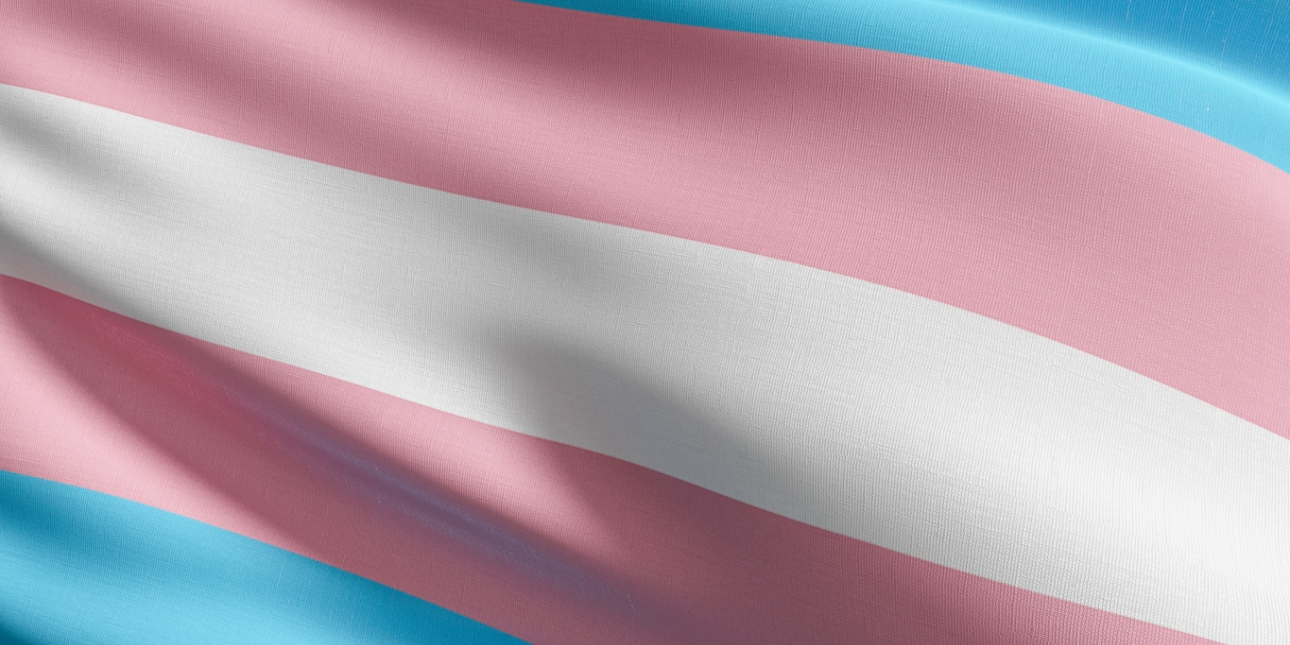 A section of the transgender flag showing the colours from top to bottom of light blue, pink, white, pink and blue