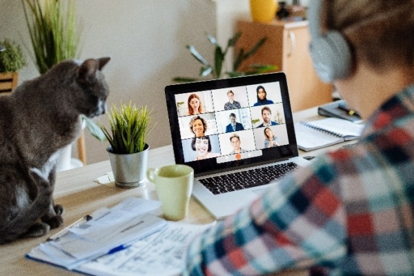 Image for article 'Forget about the platform'