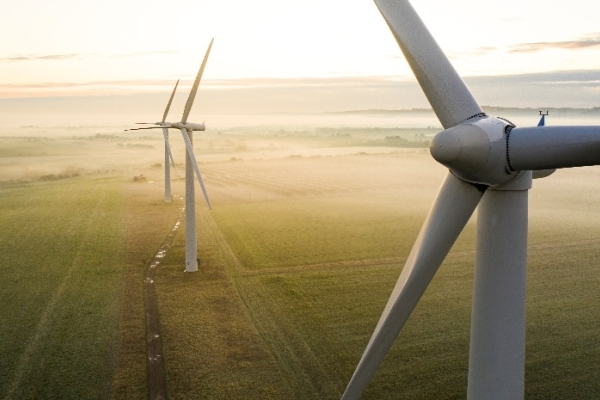 Image for article 'What can we expect from COP26 and what can Glasgow expect from us?  '