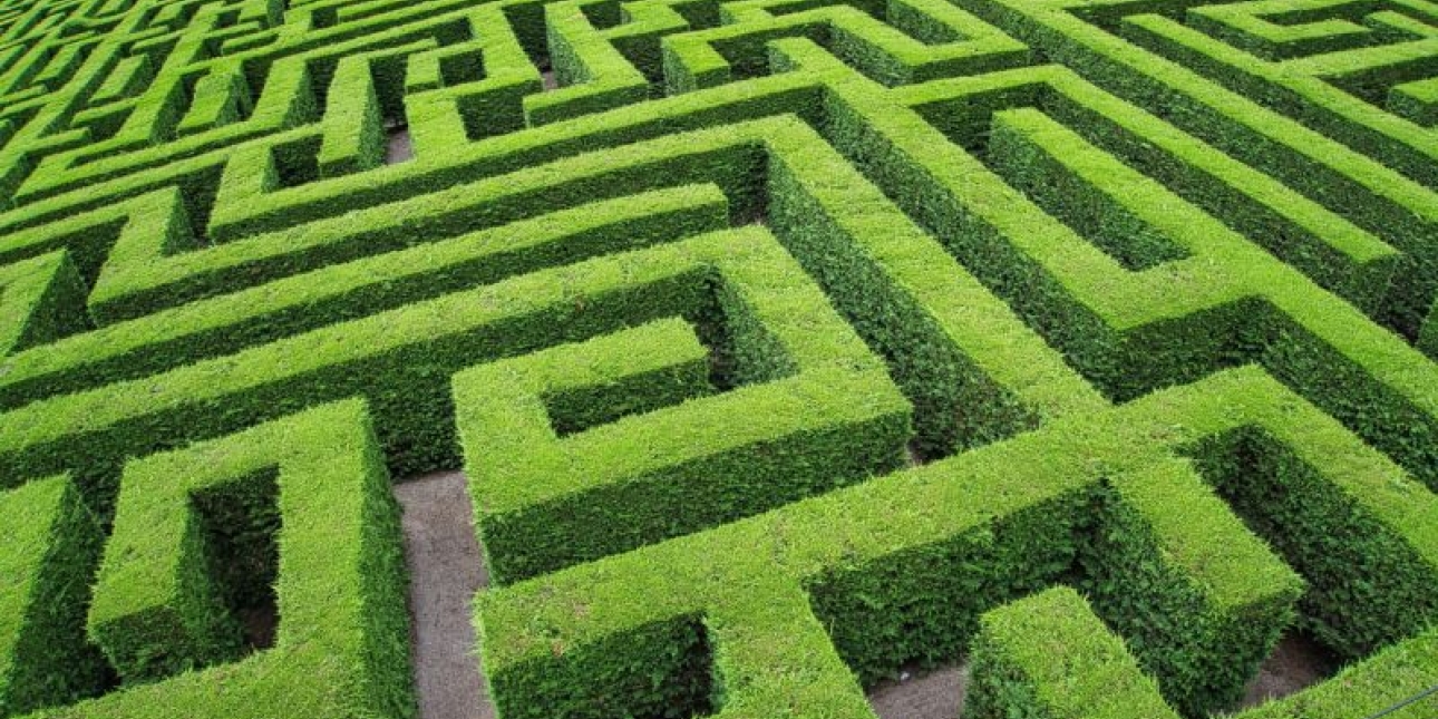 A hedgerow maze