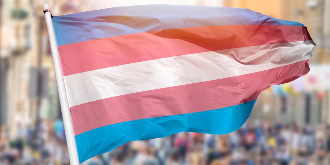 The transgender flag flies in the breeze. The flag consists of horizontal blocks of light blue, pink, white, pink and light blue. A blurred crowd is in the background.