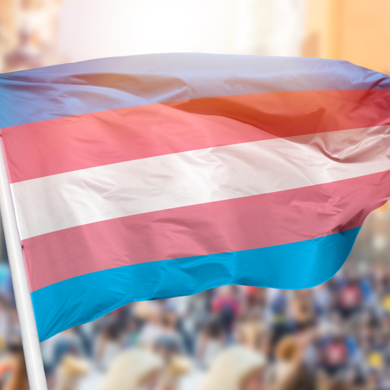 The transgender flag flies in the breeze. The flag consists of horizontal blocks of light blue, pink, white, pink and light blue. A blurred crowd is in the background.