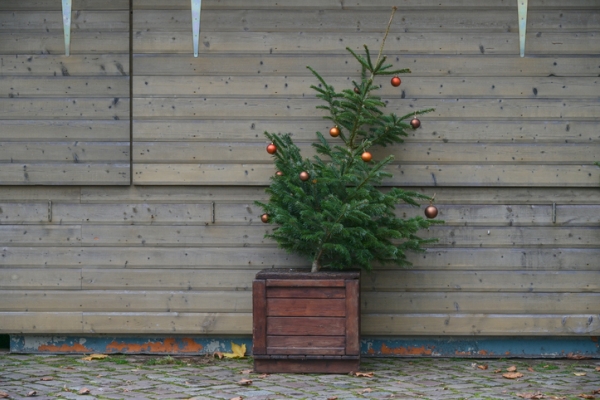 Image for article 'Concern, controversy and crisis: 5 ways for comms to survive Christmas'