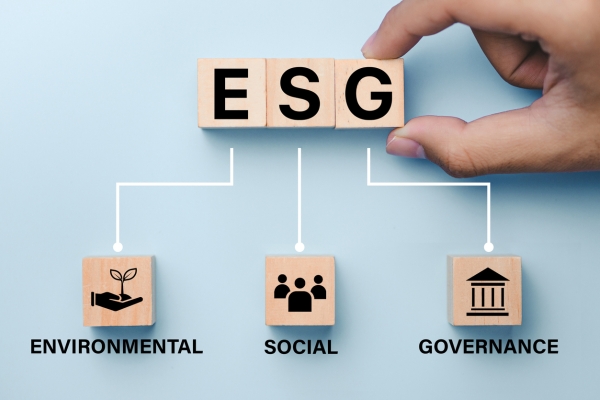 Image for article 'Why we need to talk about the ‘G’ in ESG'