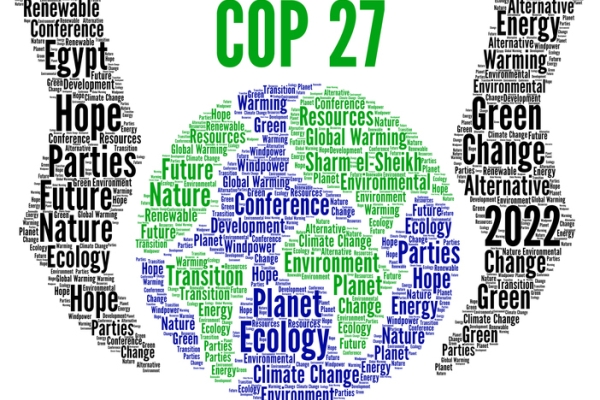 Image for article 'Three things we learned at COP27'