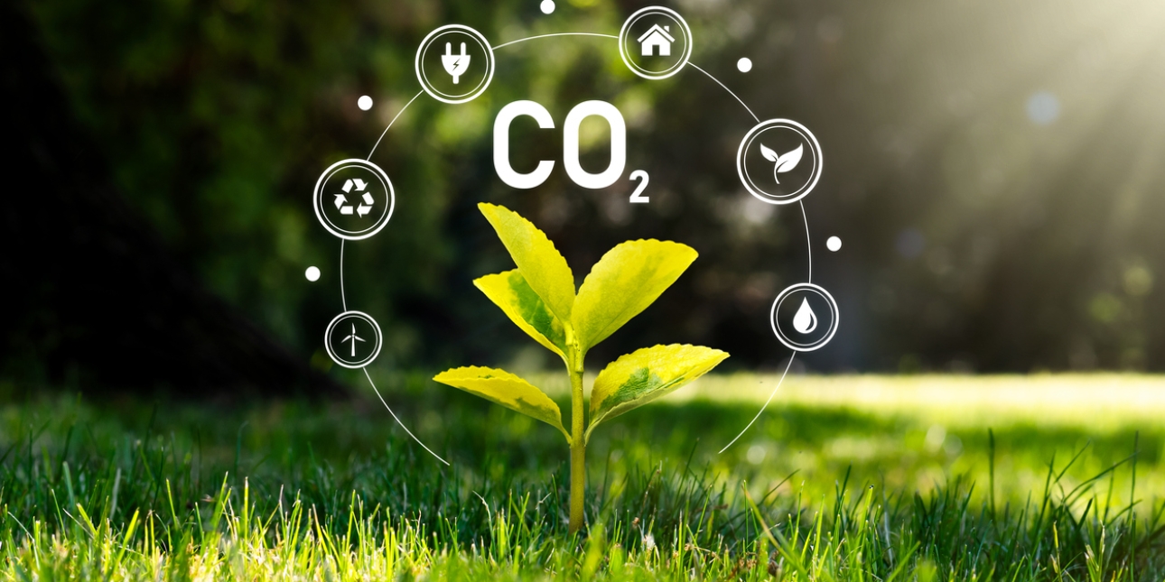 A five leafed plant sprouting from grass. The word CO2 is overlaid on the image with icons representing wind, recycling, energy, buildings, plants and water