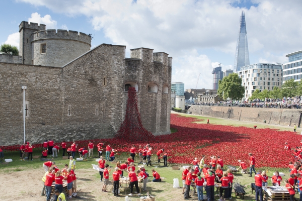 Image for article 'Poppy is more than a PR campaign for a charity'