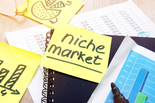 Image for article 'How to create a niche for your business, with zero competition'