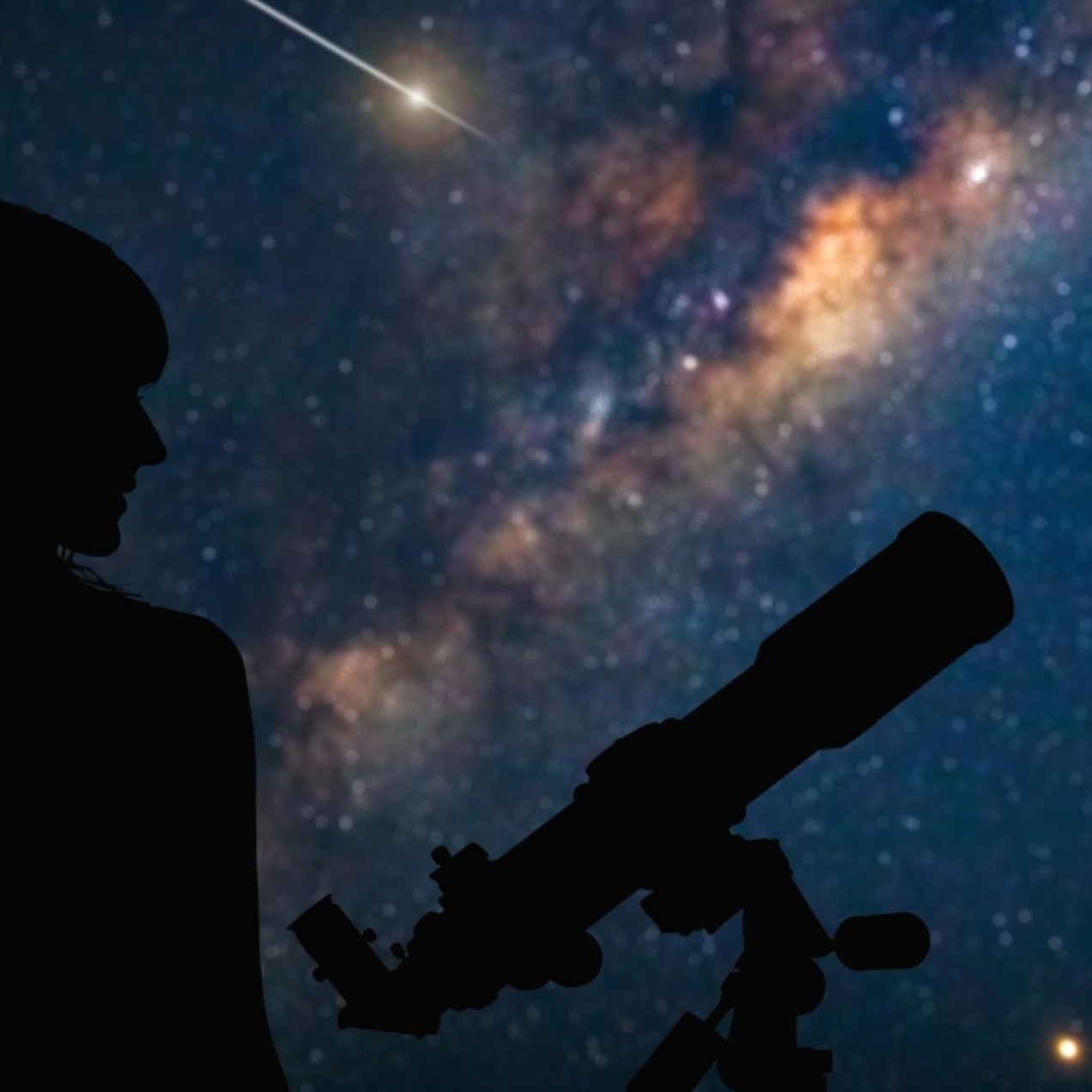 A silhouette of an astronomer and a telescope against a star filled sky