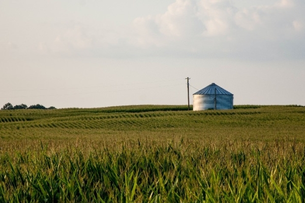 Image for article 'Agencies must ditch self-inflicted siloes to deliver for clients in a social-first world'