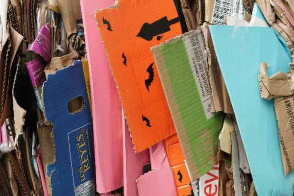 Image for article 'Recycling Rates Soared During Lockdown – How Do We Keep This Going?'