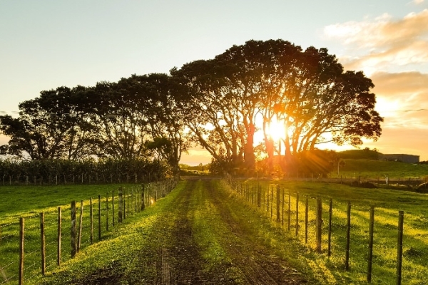 Image for article 'Why now is the time for Britain’s rural brands to shine'