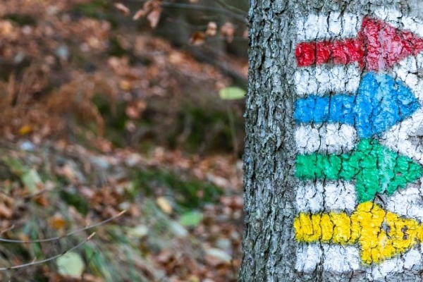 Image for article 'How brands can harness social movements (without just jumping on the bandwagon)'