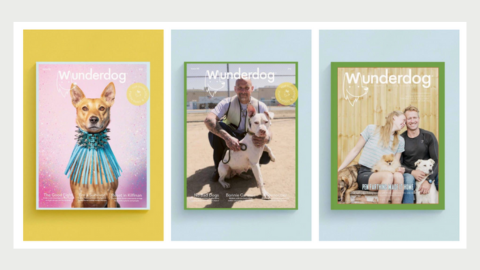 A row of three Wonderdog magazine covers featuring various dogs and their owners