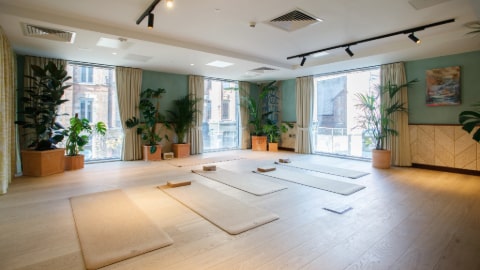 Five cream yoga mats on the light wood floor of a turquoise room. There are three floor to ceiling windows, several large plants and down lights.