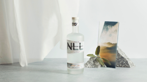 On a pale background a bottle of gin and a stone.