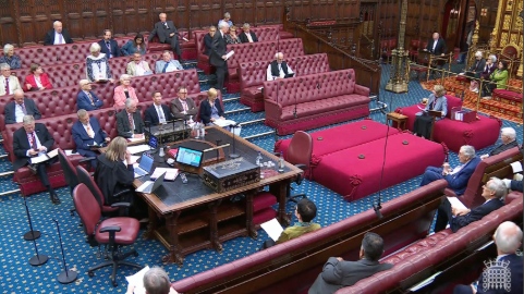 Baroness Hayter stood in the House of Lords as other Lords listen from the red benches.